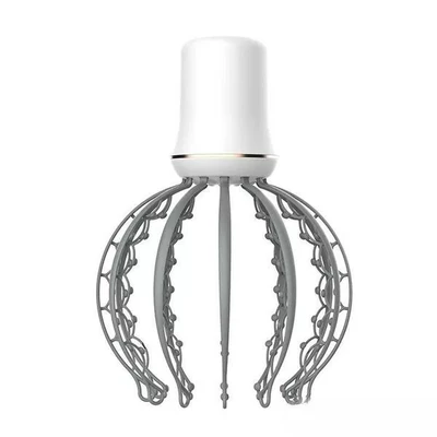 Head Massager (P02318)